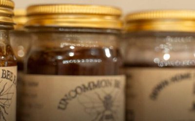 Why Natural Honey Should Be Your Go-To for Health and Skin