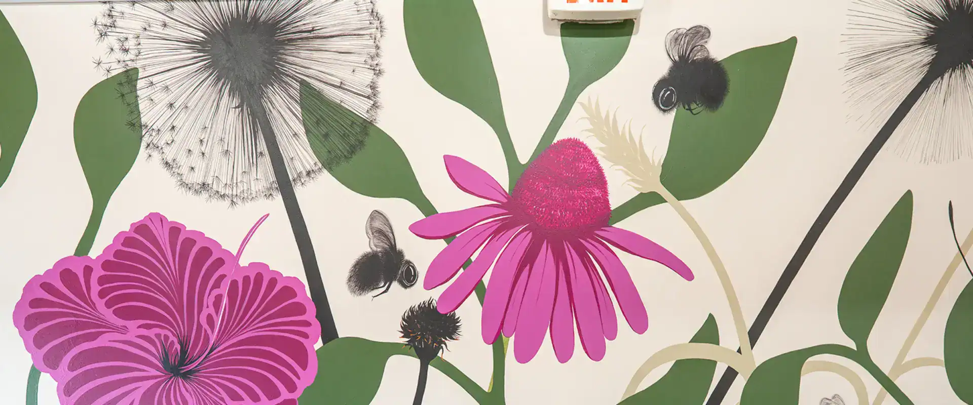 bottles of supplements on a store shelf 