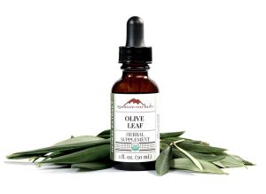 MRH Olive Leaf Extract 1 oz