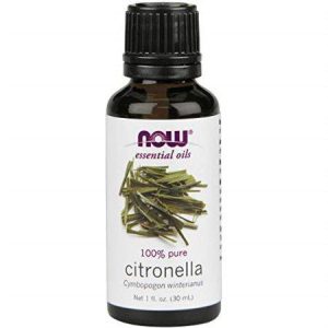 Citronella 100% Pure Essential Oil (1 Fluid Ounce)