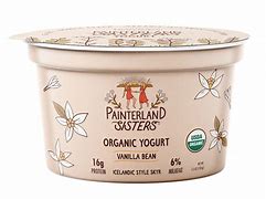 Painterland Sisters Organic Vanilla Icelandic Style Skyr Yogurt