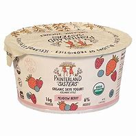 Painterland Sisters Organic Meadow Berry Icelandic Style Skyr Yogurt