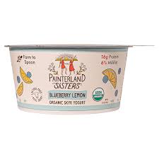 Painterland Sisters Organic Blueberry/Lemon Icelandic Skyr Yogurt 5.3oz