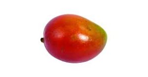 AZURE Organic Mangoes