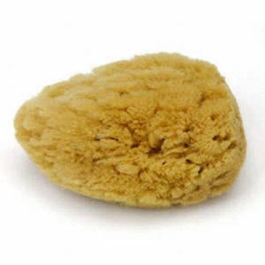 Sponge, Dead Sea Sponge (Natural)