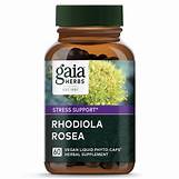 Gaia Rhodiola Rosea - Stress Support Supplement Traditionally for Supporting Healthy Stamina and Endurance - with Siberian Rhodiola Root Extract