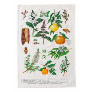 Koala Eco Tea Towel