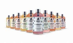 Bailey's Farms Kombucha Singles